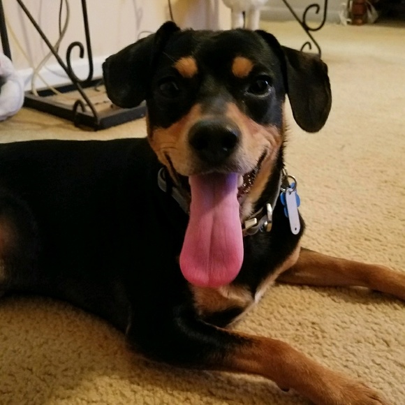 Meet your Posher, Virginia - Picture 1 of 1